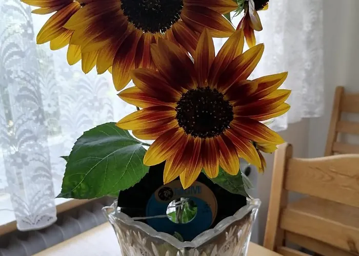 Alpenblick Appartement